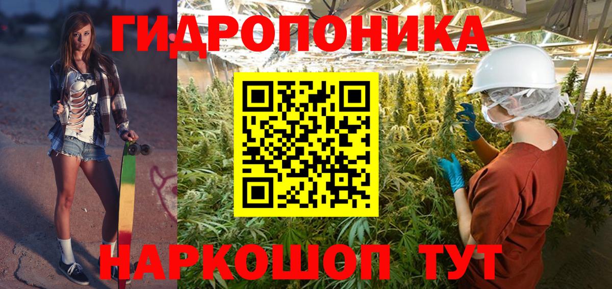 Бошки марихуана сатива  МАРИХУАНА Bruce Banner  Вход с VPN  Каннабис планчик  Барабинск  Каннабис тримм 